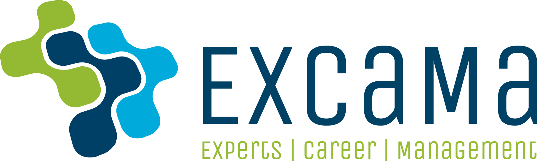 ExCaMa | Experts – Careers – Management